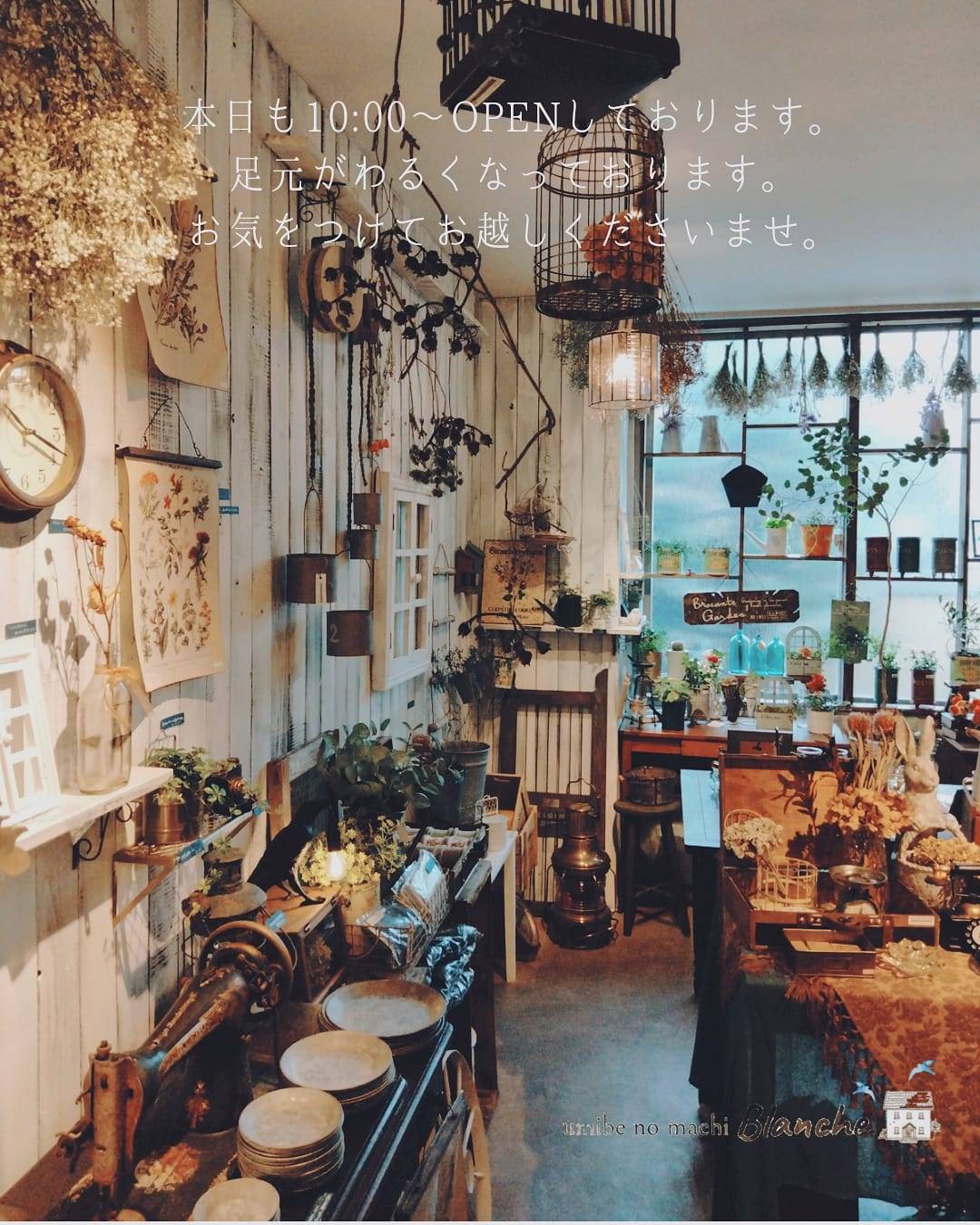 本日も10:00~営業しております(*^^*)