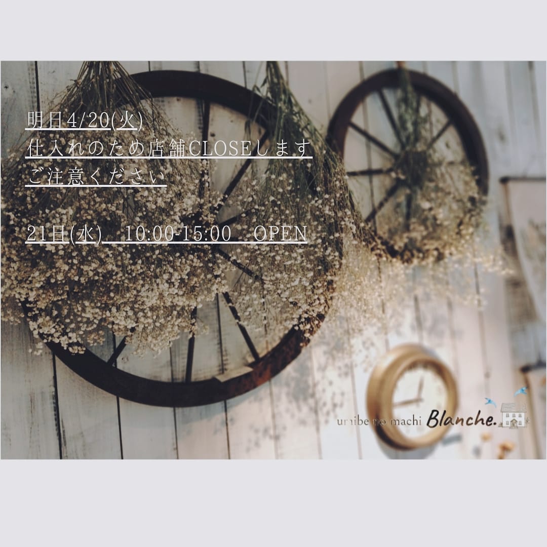 明日20日(火)は仕入れのためCLOSEです。