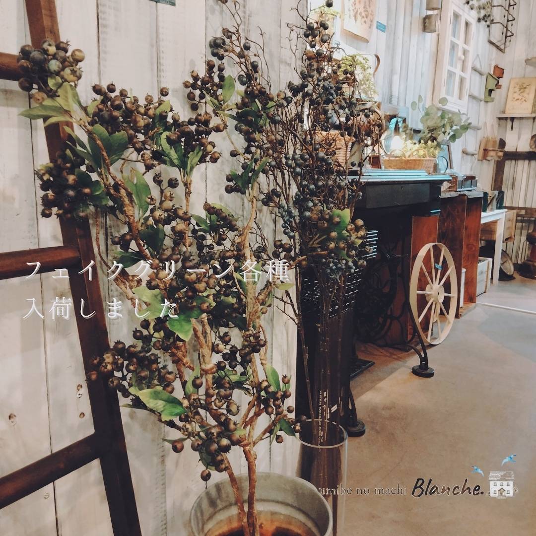 フェイクグリーン入荷しました🍃