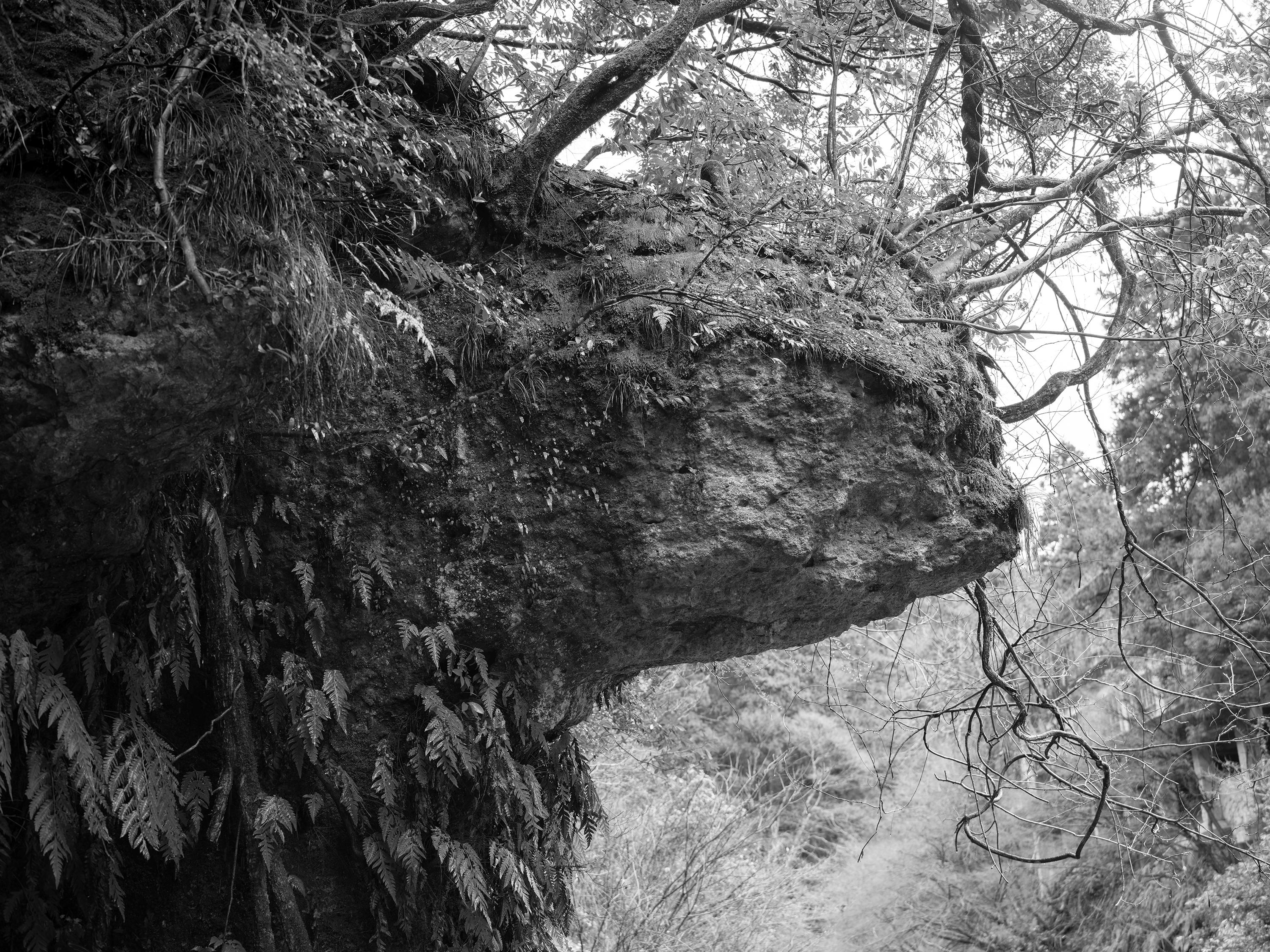 【期間限定】4/24-5/10　河野幸人オンライン販売開始