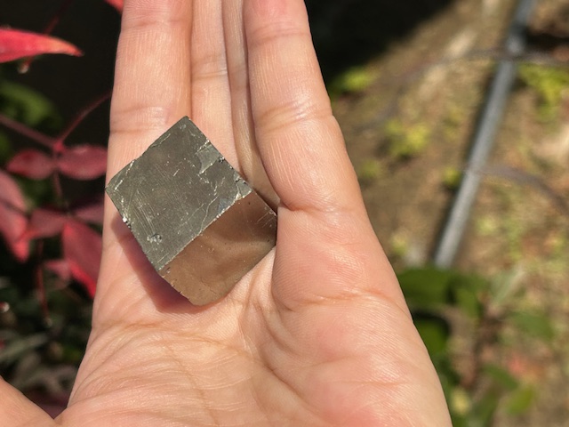 まるで黄金！大きめパイライトキューブが入荷しました♪