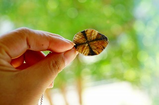 キャストライト(クロスストーン)などのペンダントトップが入荷しました☆