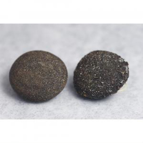 密かな人気！ボージーストーンが入荷しました！