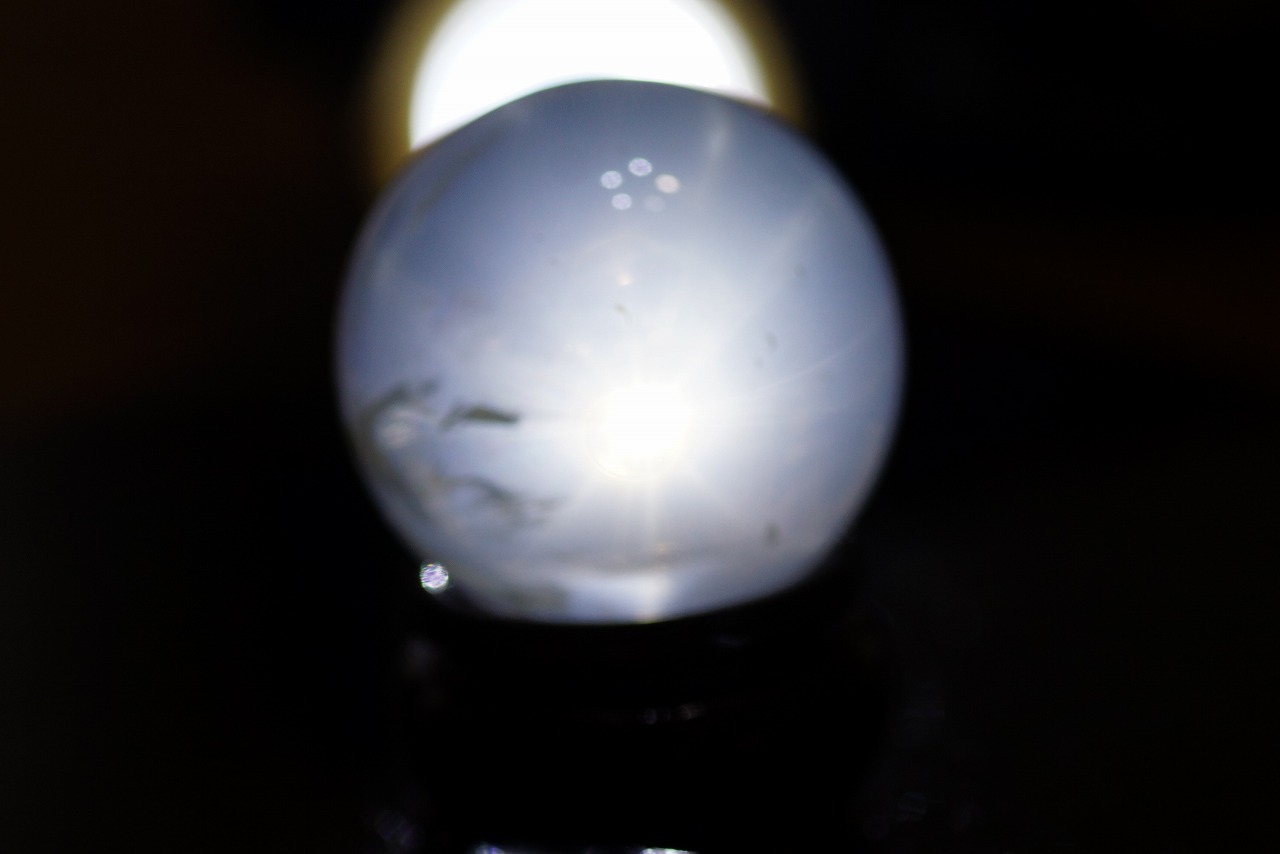 美しいメタモルフォーゼスやテラヘルツが入荷しました☆