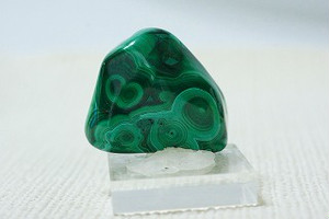 今日は色々なタンブルをアップしました！