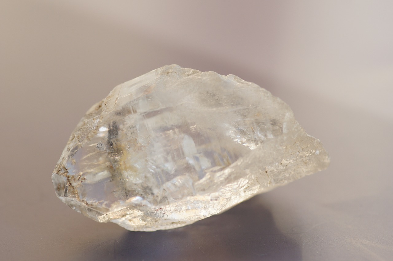 お正月特別クーポン配布中です！