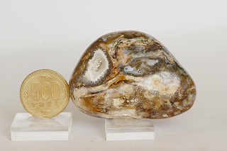 オーシャン・オビキュラー・ジャスパー（アトランティスストーン）が入荷しました☆