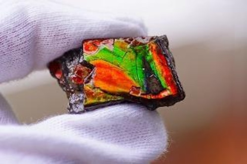 在庫処分セールを行っております!