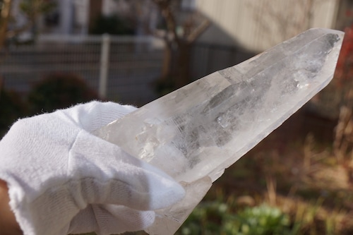 大きめで素敵！レムリアンシードが入荷しました☆