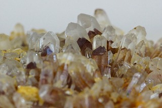 珍しい南インド産レッドファントムクラスターが入荷しました！