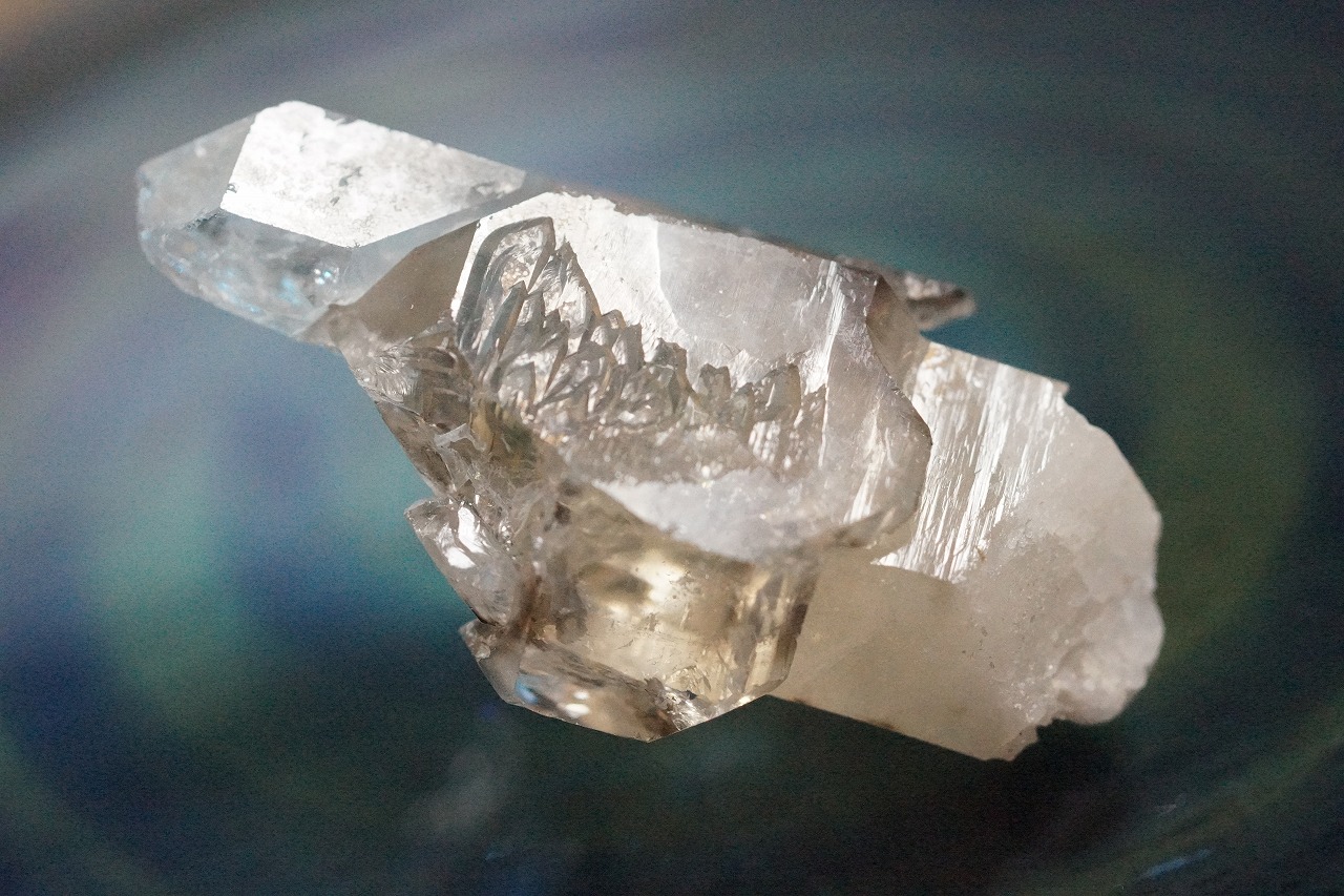 美しいアリゲーターエレスチャルが入荷しました☆