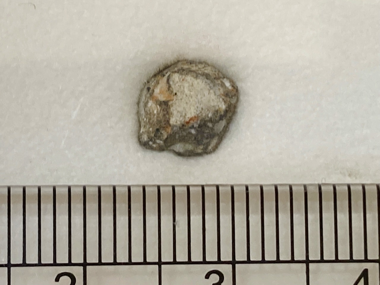 月の石（メティオライト）火星の石（隕石）が入荷しました☆