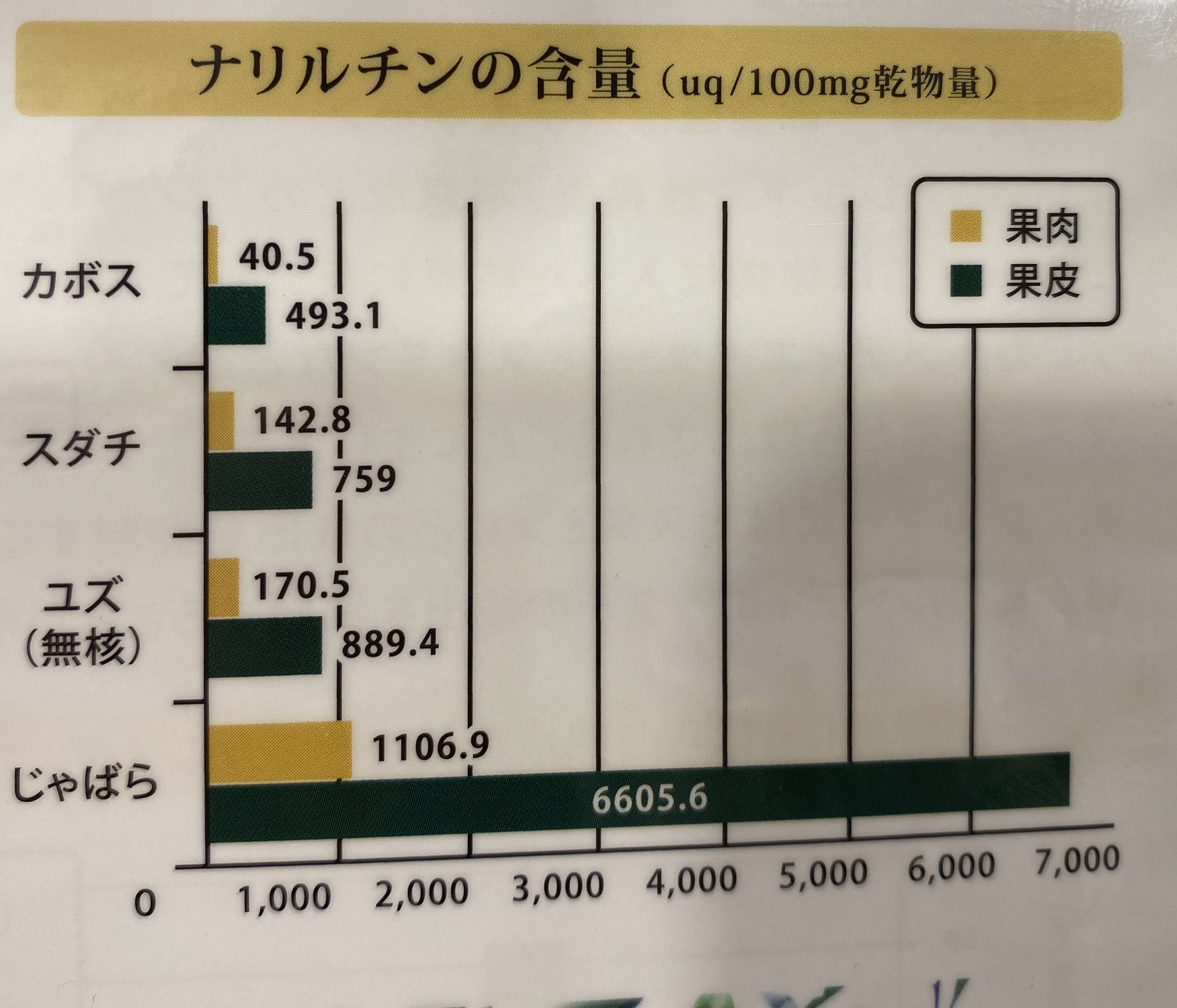 花粉症の緩和に！　じゃばら　のことやってました！