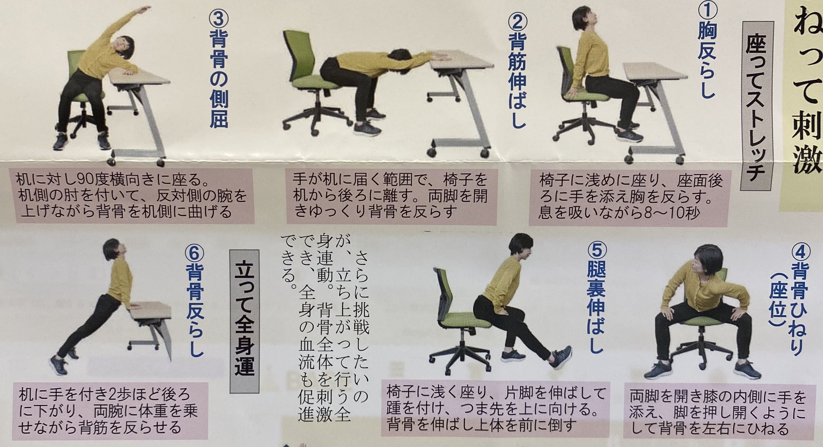 春は、自律神経が乱れがち、気持ちやお肌にも影響が。夜のリラックに、おやすみ前のカモマイルブレンド！