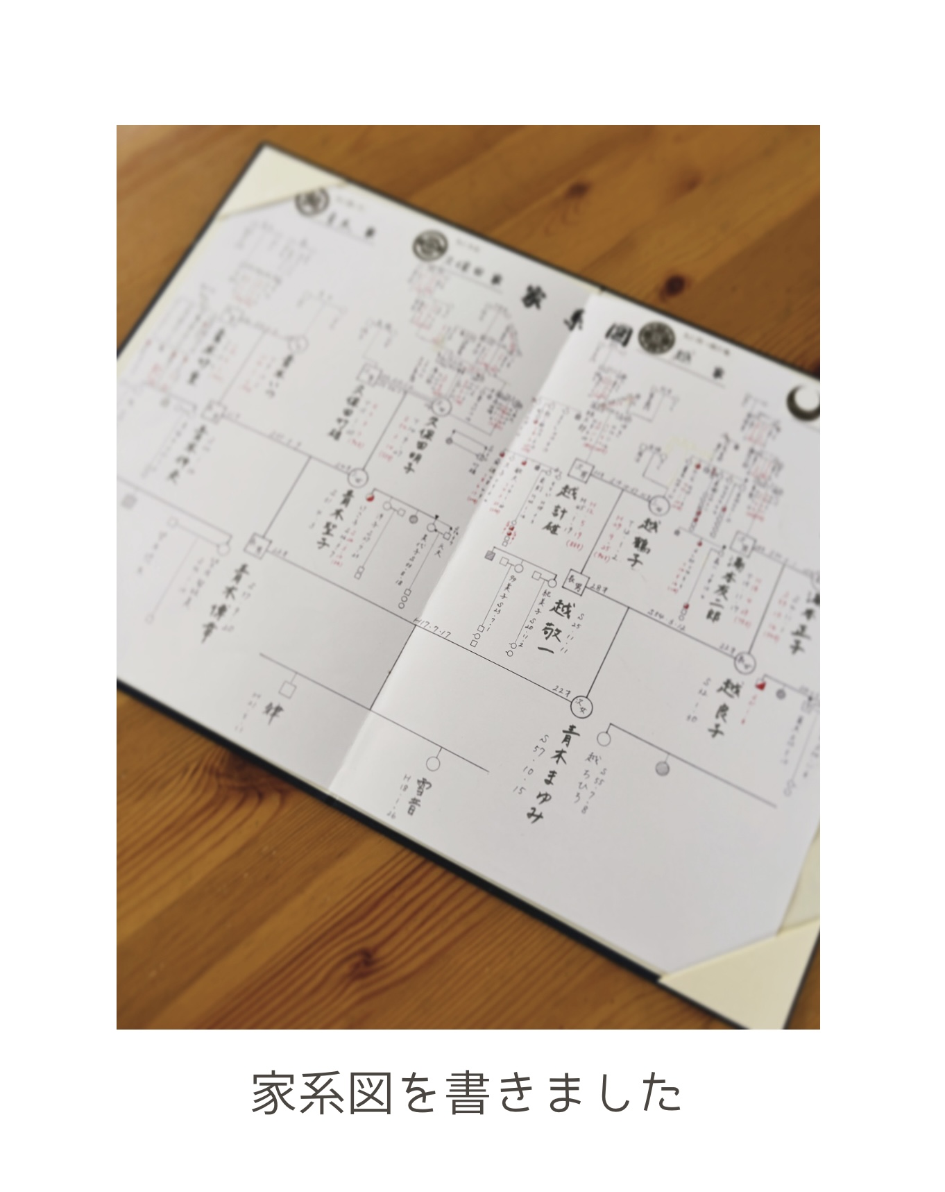 【プライベート日記】家系図作りました