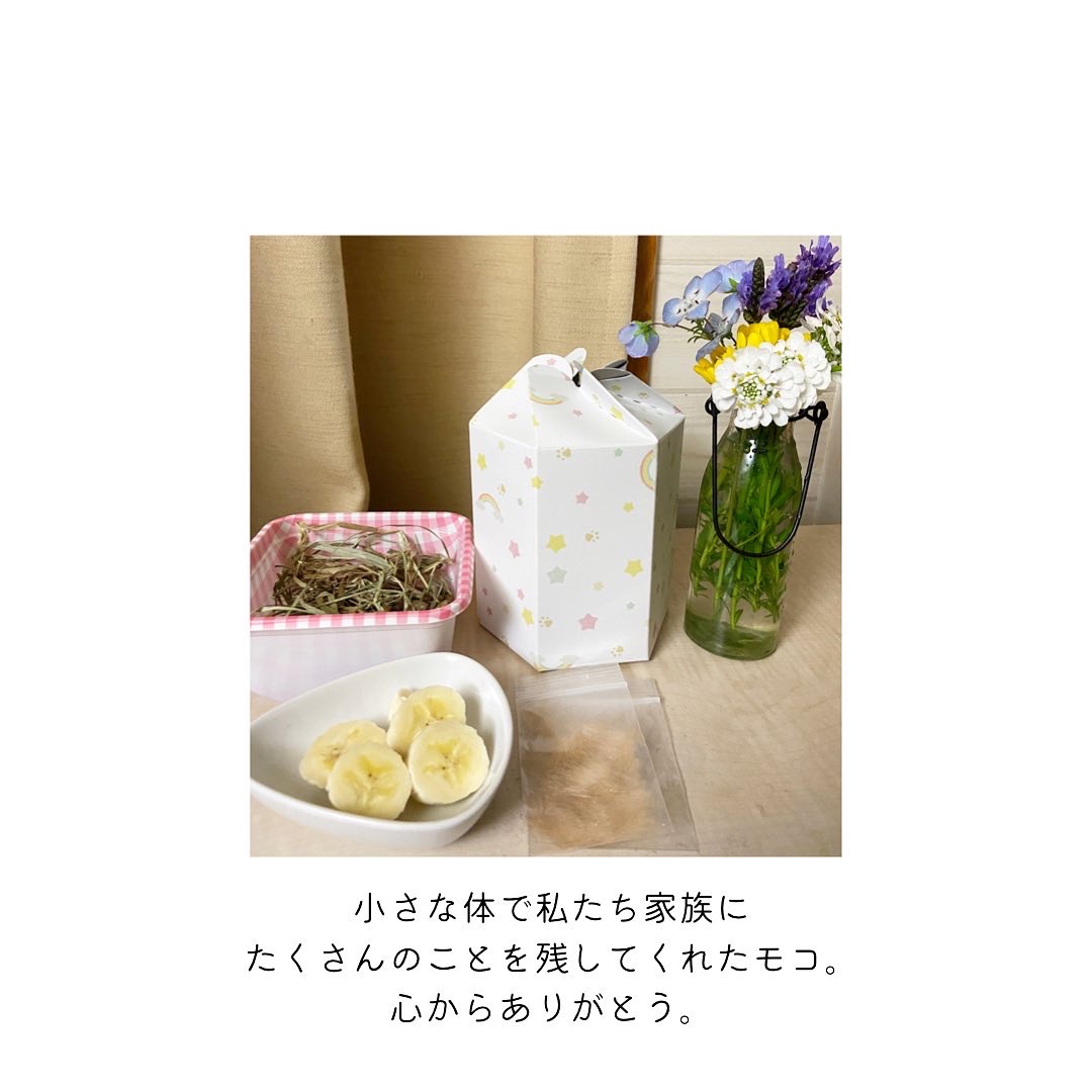 明日New手芸キットを発売します