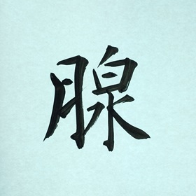 今日の筆文字　腺