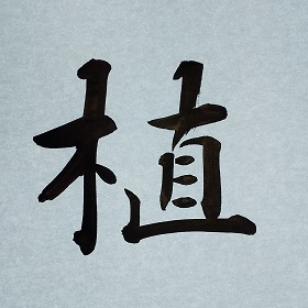 今日の筆文字　植