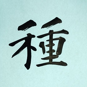 今日の筆文字　種