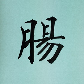 今日の筆文字　腸