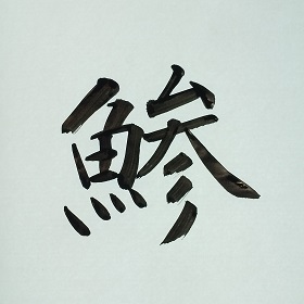 今日の筆文字　鯵