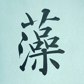 今日の筆文字　藻