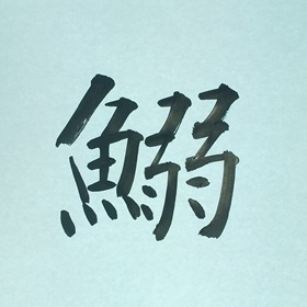 今日の筆文字　鰯