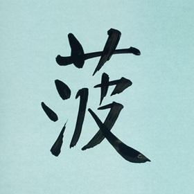 今日の筆文字　菠