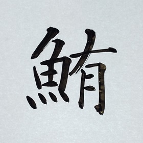 今日の筆文字　鮪