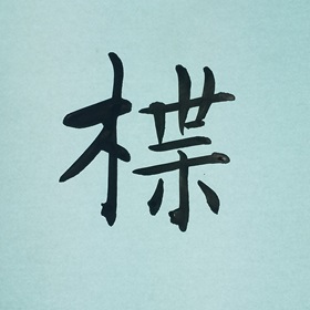 今日の筆文字　楪