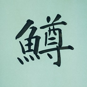 今日の筆文字　鱒