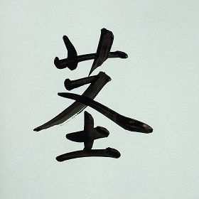 今日の筆文字　茎