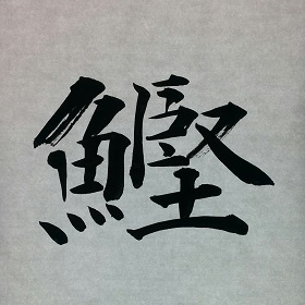 今日の筆文字　鰹