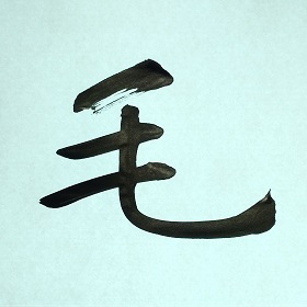 今日の筆文字　毛