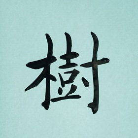 今日の筆文字　樹