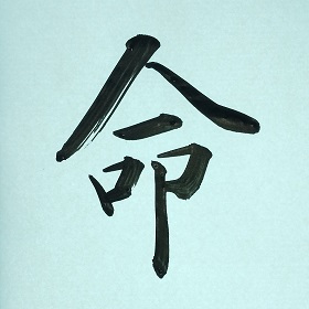 今日の筆文字　命