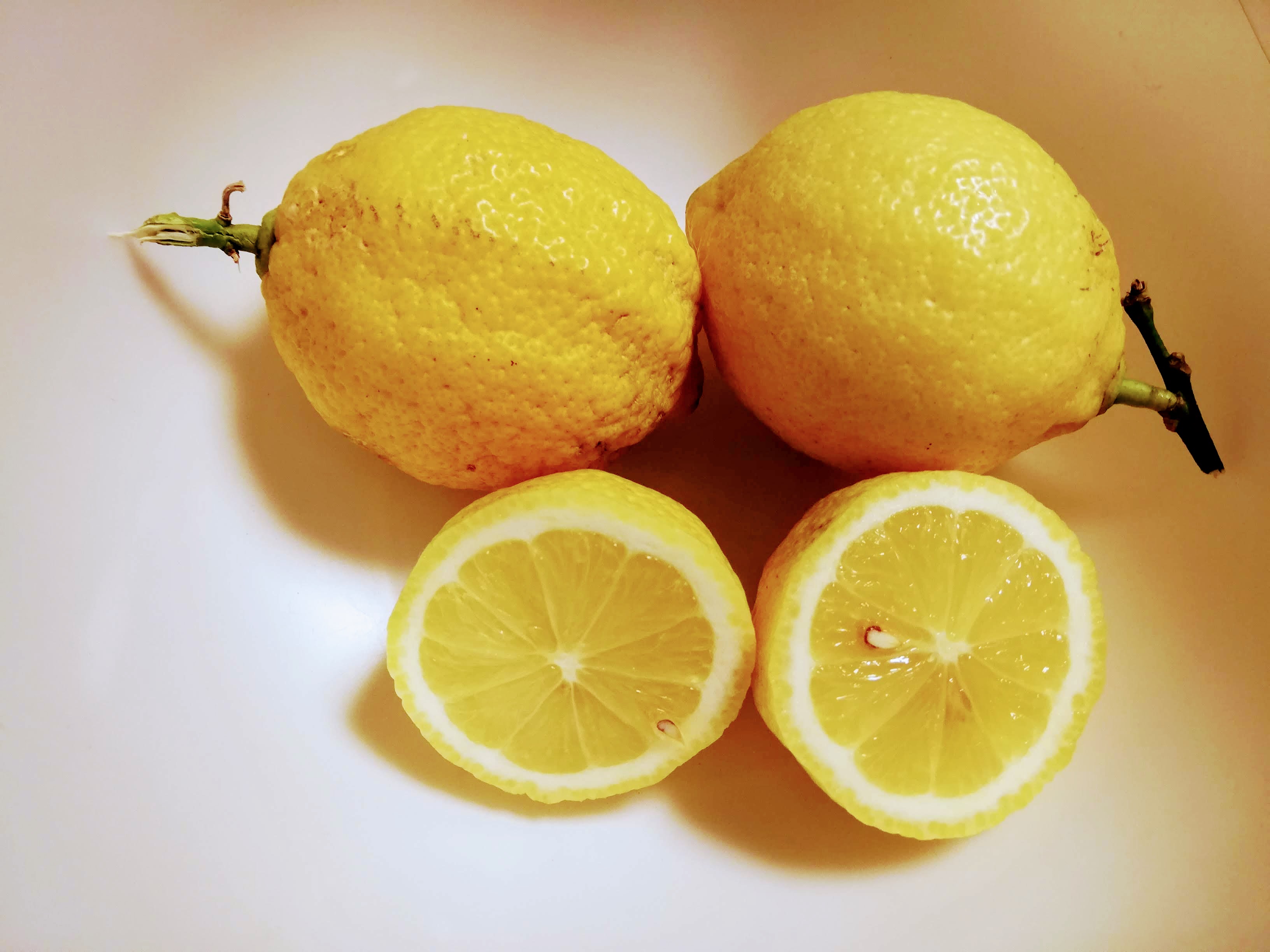 越冬レモン