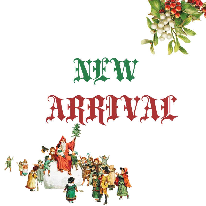 2023.12.9 BROOCH NEW ARRIVAL