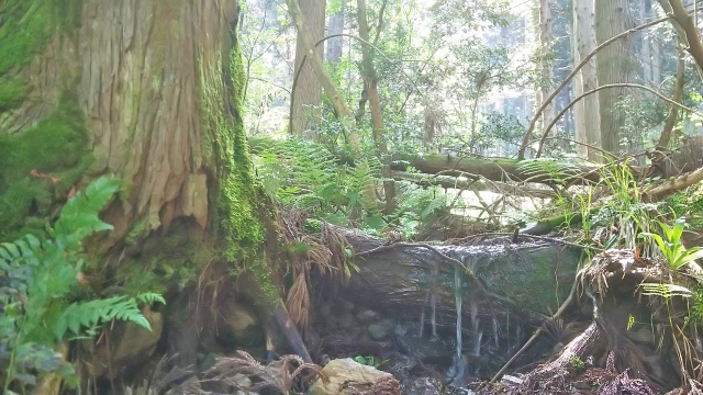 あまつかぜにおける【巫/巫女活動10か条】