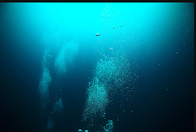 髪と頭皮への愛を込めて