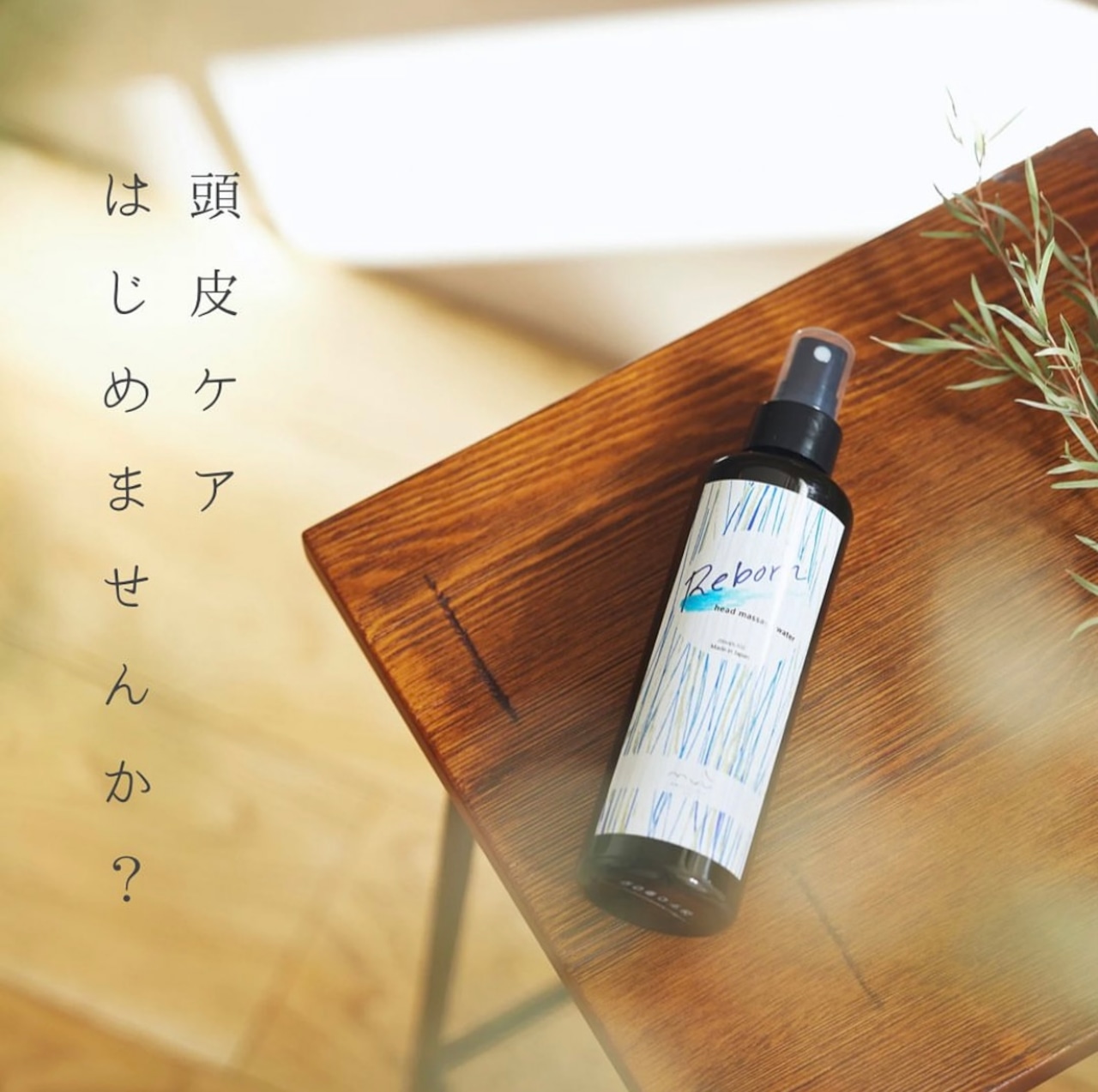 頭皮活性水「リボーン（Re:born）」と血流の関係【自宅 髪質改善 fimyu 通販】