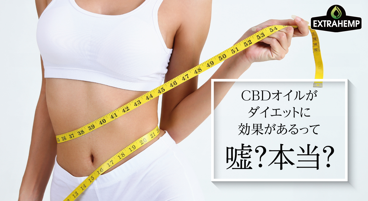 CBDオイルがダイエットに効果があるって、嘘？本当？