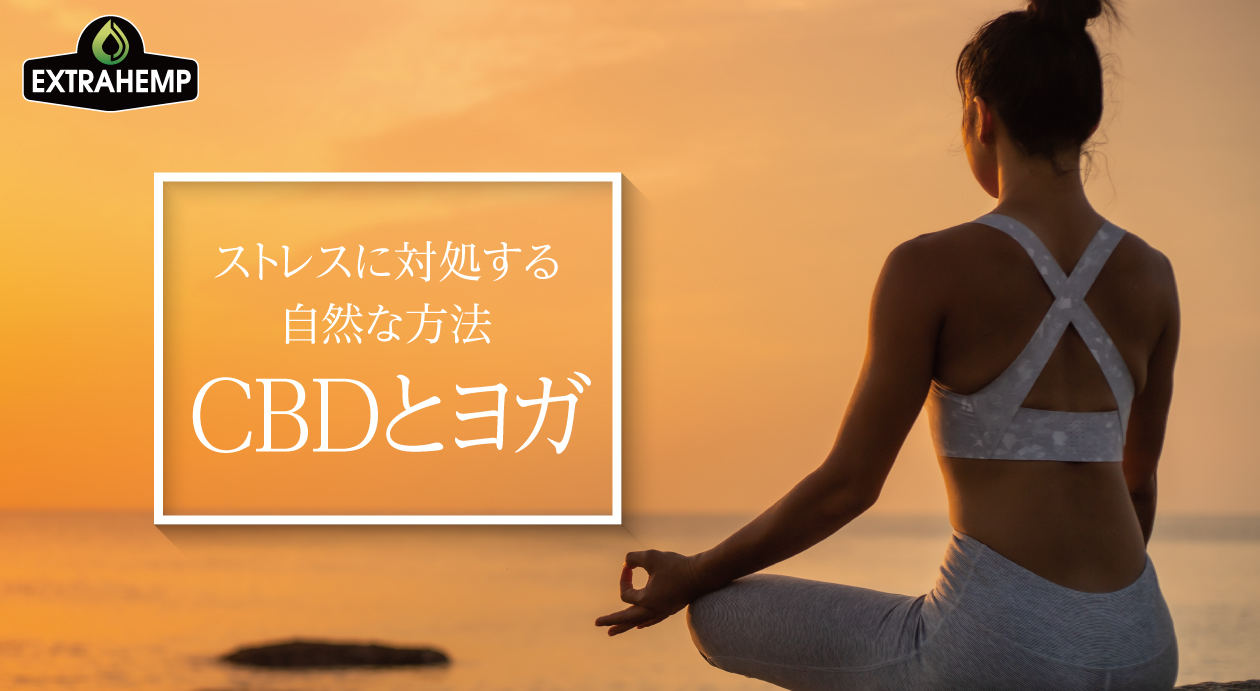 ストレスに対処する自然な方法、CBDとヨガ