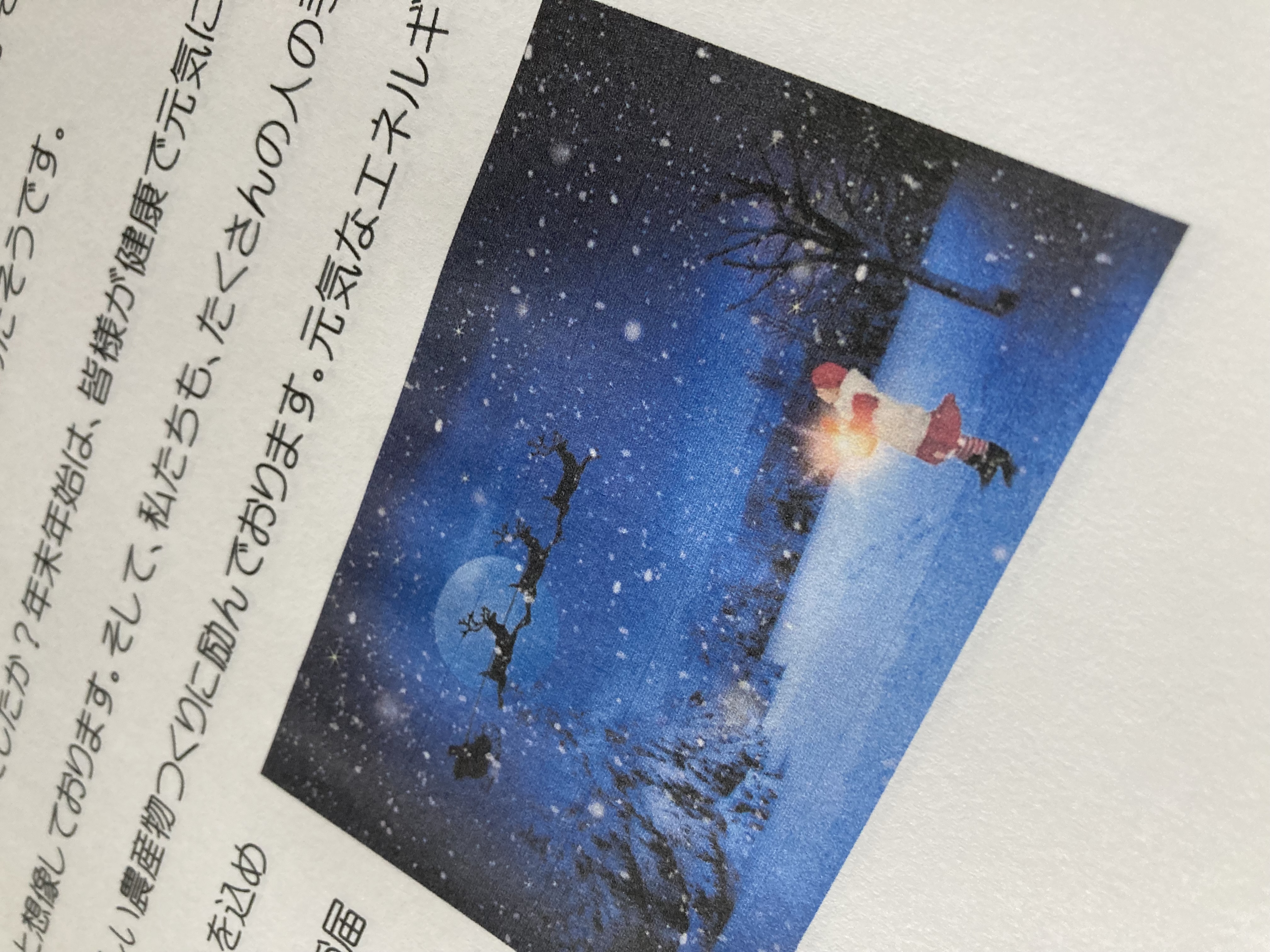 毎月定期便の事