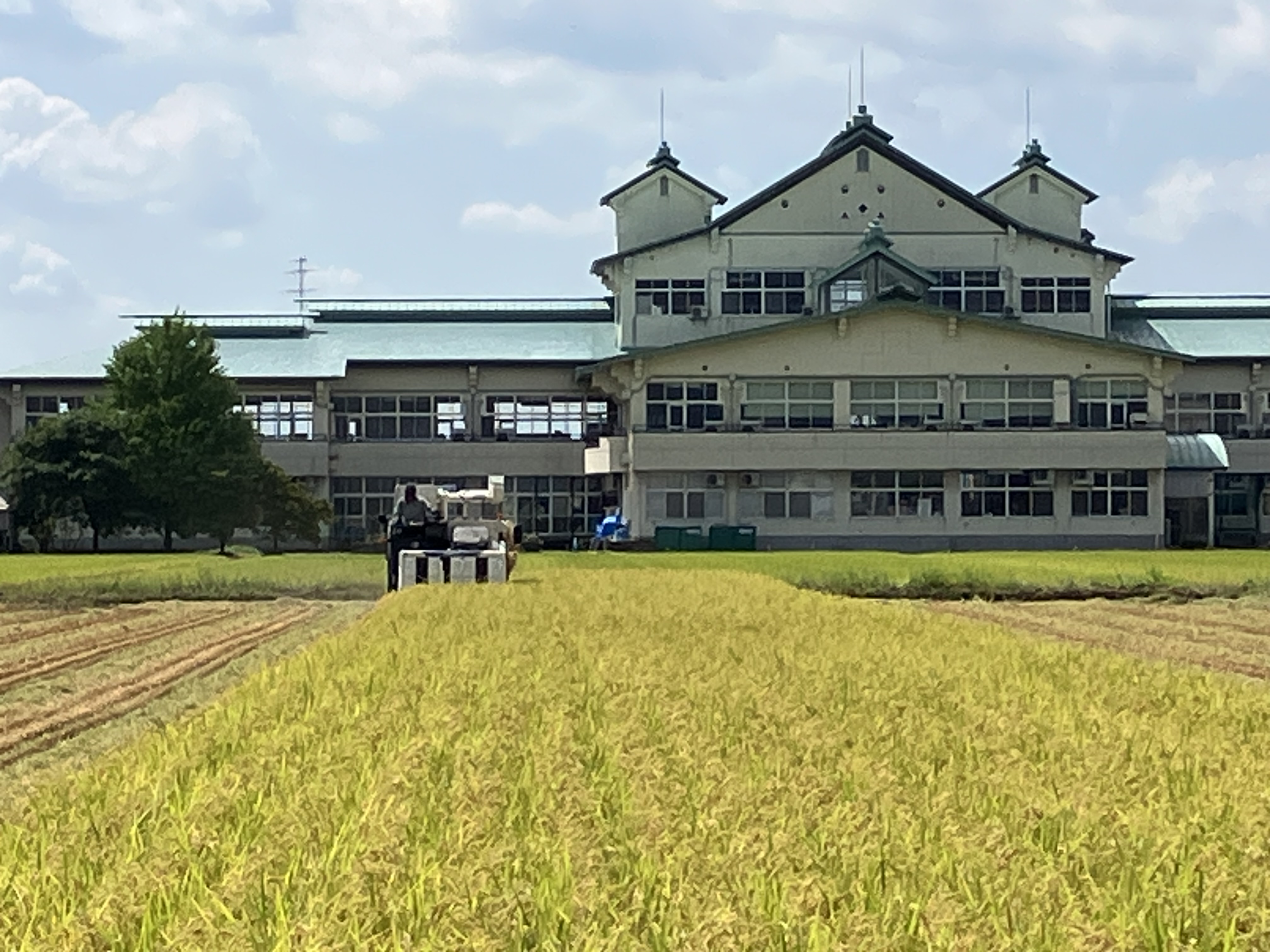 稲刈り始まりました