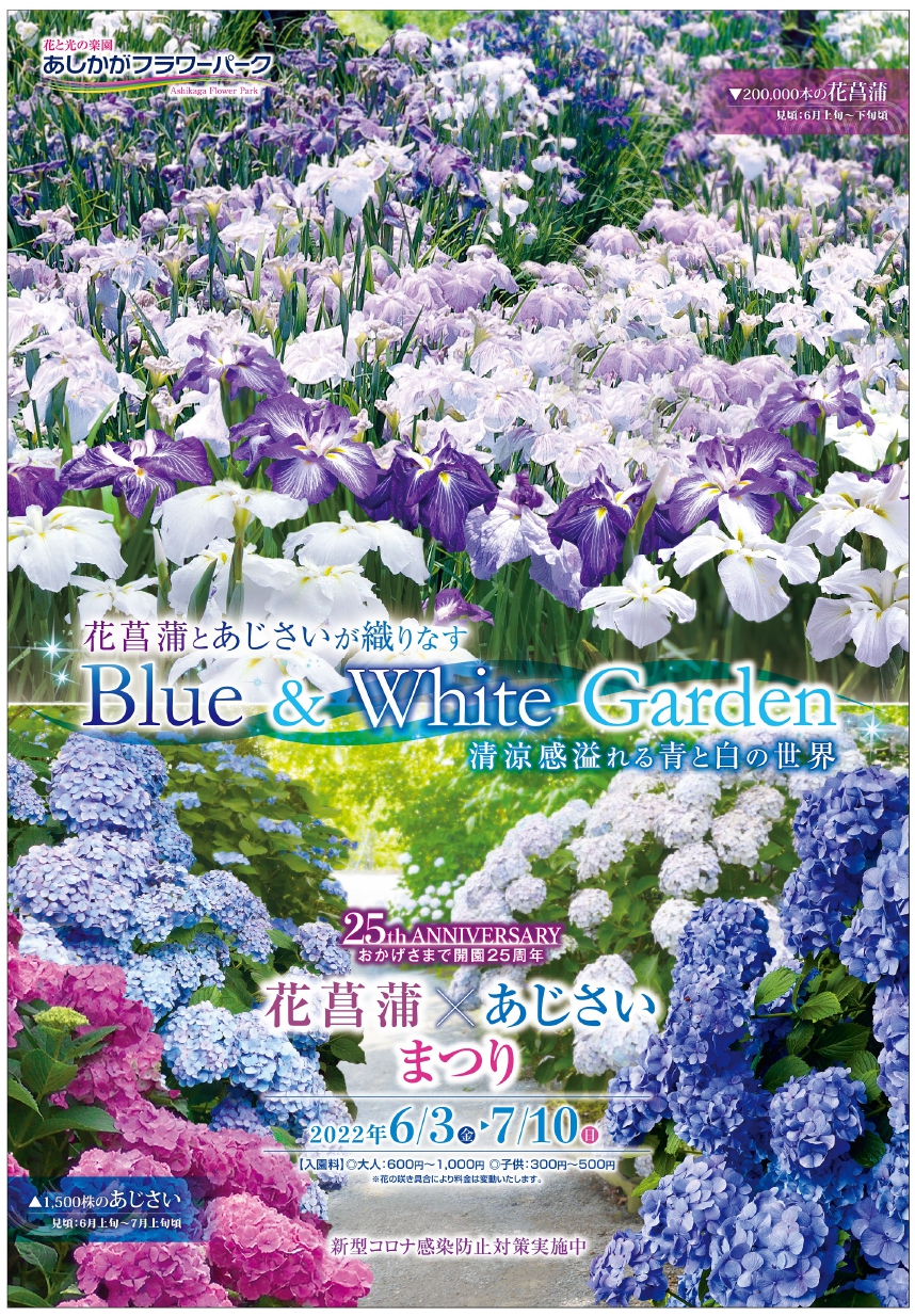 Blue＆White Garden～花菖蒲＆あじさいまつり開催中！