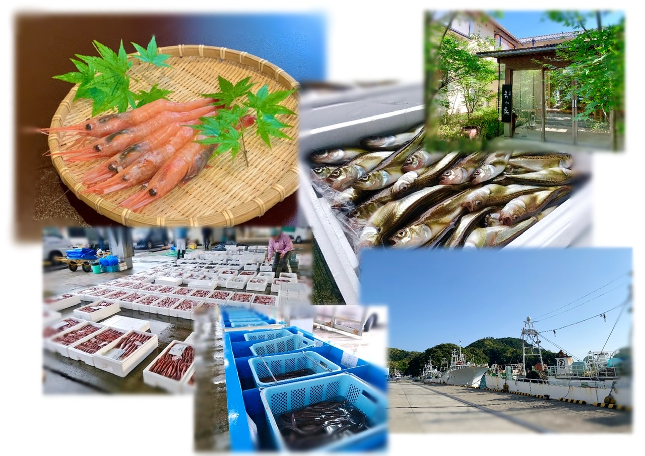 日本海の海産物を味わって頂くために宿泊施設が今できること