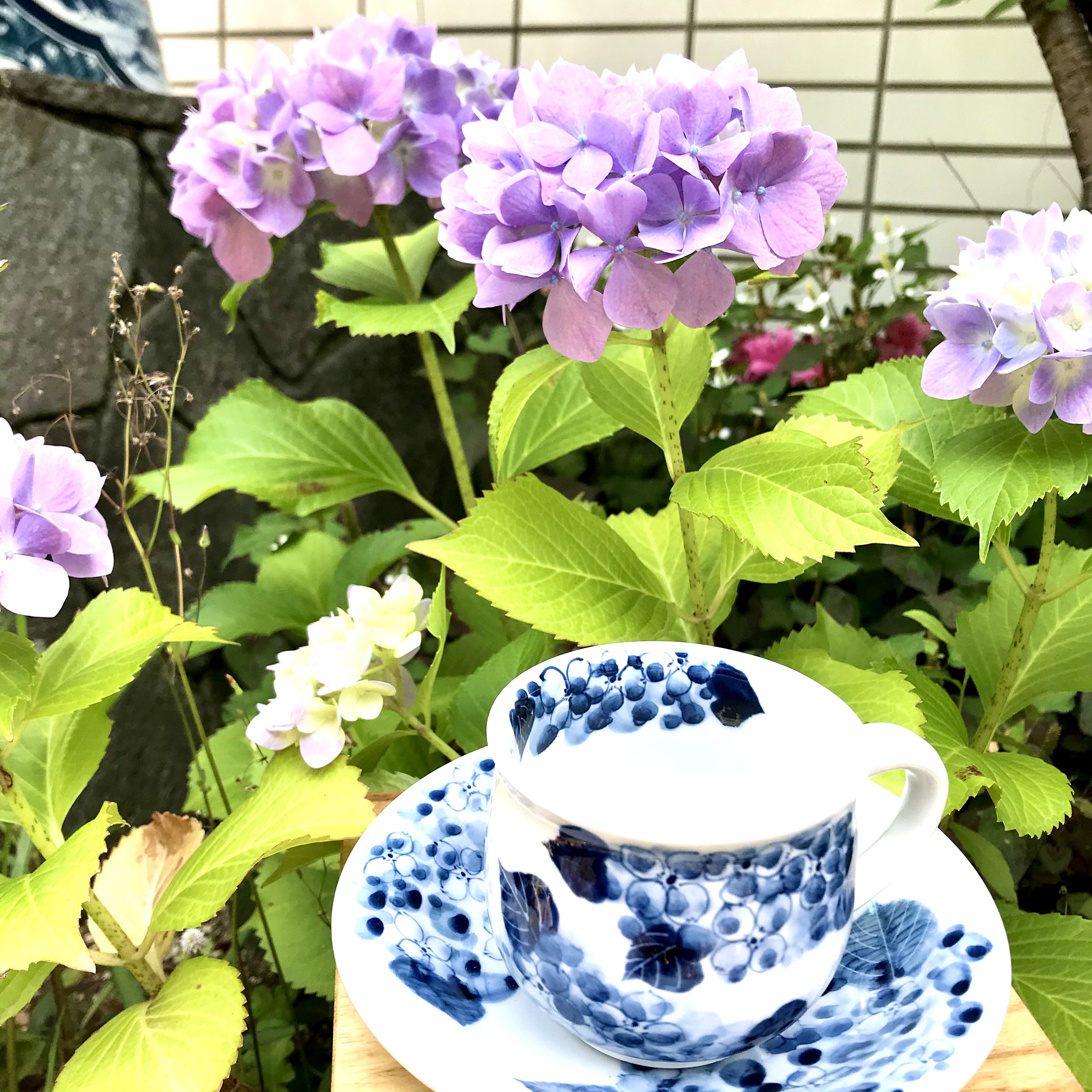 紫陽花紋様のコーヒー碗皿。