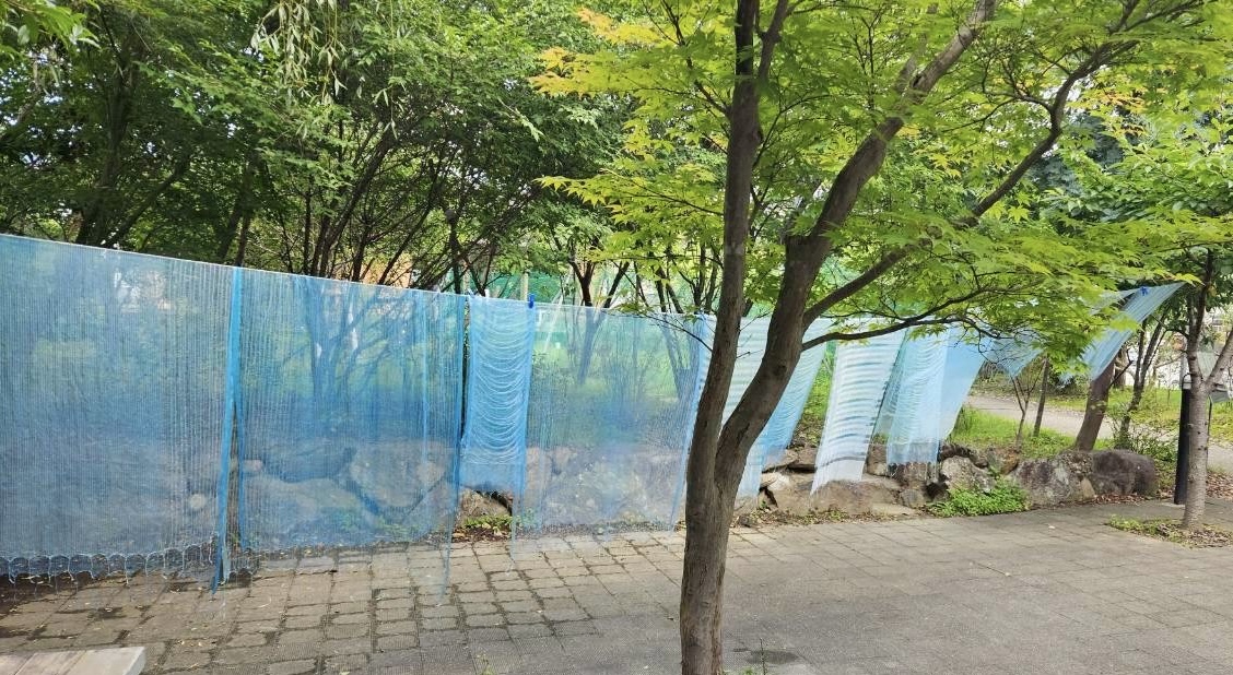夏は藍染めの季節🩵💙