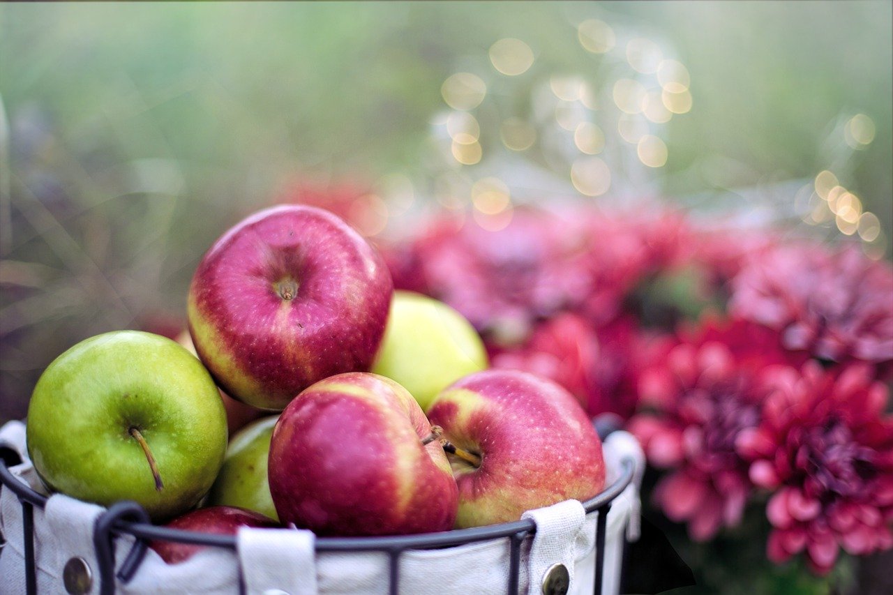 メタセラピーで自分にあった食べ物や薬がわかる？